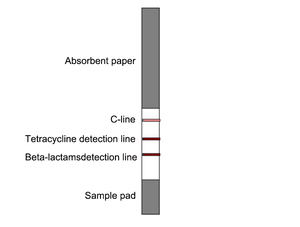 Hiyi sữa aflatoxin <span class=keywords><strong>M1</strong></span> <span class=keywords><strong>kit</strong></span> kiểm tra - Product Image 6