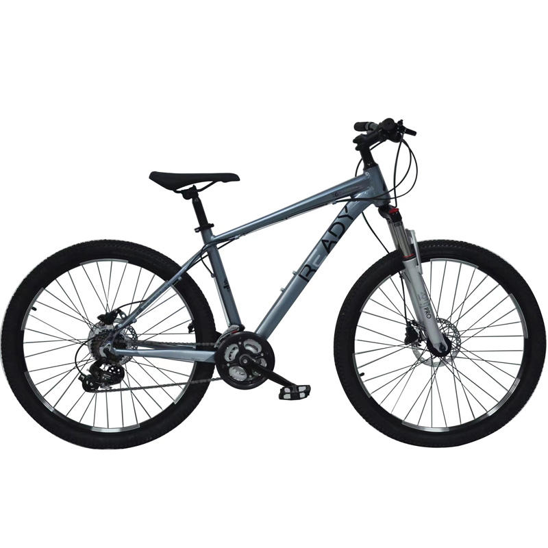 29 Inch Aluminum MTB Bicycle with 21 Speed Disc Brake Mountain