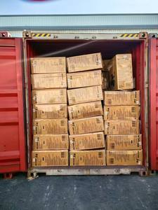 Bicicletta Elettrica per uno Stile di Vita Urbano, Progettata per Spostamenti Quotidiani con Potenza Silenziosa - Product Image 5