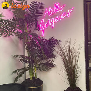 Signo <span class=keywords><strong>gratis</strong></span> colgante colorido personalizado Hola hermoso letrero de neón para decoración de tienda Logotipo de pared letrero - Product Image 6