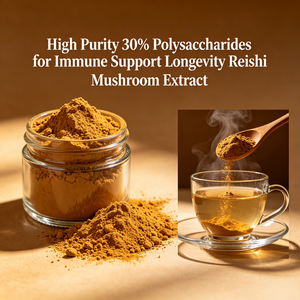 Extrait de champignon Reishi en poudre à haute pureté, 30% de polysaccharides, pour le soutien immunitaire et la longévité - Product Image 5