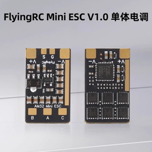 FlyingRC Mini ESC 40A V1 32 บิต ยูนิตเดี่ยวสำหรับอะไหล่เครื่องบินร่อน RC - Product Image 4