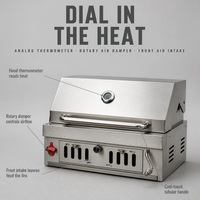 Barbecue fumoir moderne encastrable au charbon de bois, tête de gril en acier inoxydable 304 pour fêtes, cuisine extérieure, îlot, villa, patio, jardin