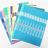Pulseras Desechables de Tyvek Personalizadas de Alta Calidad, Resistentes al Agua, con Impresión Digital, Código QR, Color CMYK, Bloqueo Unidireccional para Conciertos