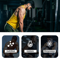 Poudre de protéines pour la prise de masse musculaire 18g, personnalisable OEM/ODM, pré-entraînement, gain de poids