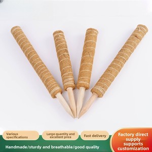 Support pour Monstera, Poteau d'escalade pour Philodendron, Poteau <span class=keywords><strong>en</strong></span> fibre de coco, Colonne de fixation pour plantes grimpantes et palmiers, Support anti-renversement YZZ - Product Image 3