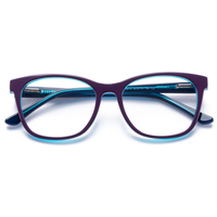Monture de lunettes classique œil-de-chat Elan Optical RD26072 en acétate pour femme, monture complète, écologique, sans peinture – Grande Vente