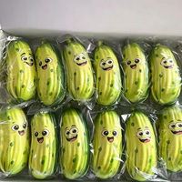Jouets Squishy à Remontée Lente avec Logo Personnalisé, Populaires et Virals, Anti-Stress, Fournisseur en Gros