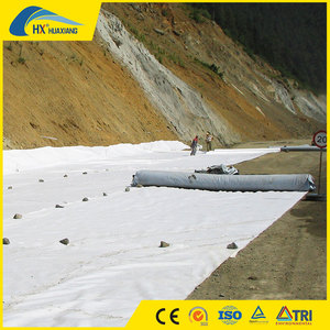 <span class=keywords><strong>แผ่น</strong></span>สิ่งทอ PP แบบนอนวูฟเวน100ก.-1000ก./M2สำหรับหลังคา - Product Image 6