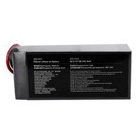 Batterie T-DRONES 6S 36Ah 36000mAh de haute qualité pour drone UVA, 22.2V 6S1P, batteries de remplacement pour drone agricole