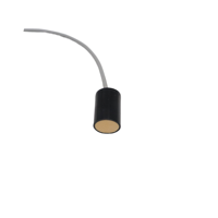 Transducteur ultrasonique 200 kHz, distance de détection 0,10~1,5 m, sonde à ondes de surface, amplificateur, mesure de vitesse du gaz, mesure de distance, CE