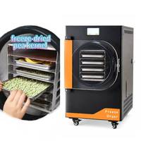 4kg 110V/220V 4-9lb per batch huishoudelijke vriesdroger voor fruit, eenvoudige bediening, automatisch, 4 trays, direct uit voorraad leverbaar