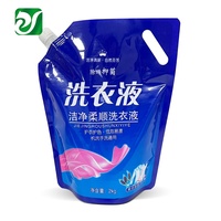 Sachet d'emballage personnalisé pour lessive en poudre 1kg 2kg, emballage de savon liquide en doypack