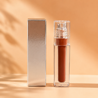 Gloss à lèvres pour maquillage des lèvres, rouge à lèvres longue tenue, gloss teinté, gloss à lèvres en marque privée, OEM ODM