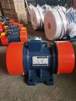 Externer Elektrischer Dreiphasen-Vibrationsmotor YZS-10-2 0,75kW mit Hoher Kraft und Langer Lebensdauer für Vibrationstische, 220V 380V 415V