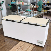 Inverseur horizontal commercial de congélateur de coffre de réfrigérateur de capacité profonde
