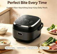 Cuisinière à riz électrique numérique 5L avec panneau de commande tactile, 1300W haute puissance, multifonctionnelle