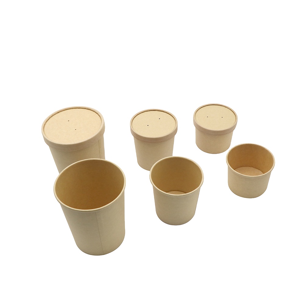 Soup Bowl-Disposable Paper Plate and Bowl Set