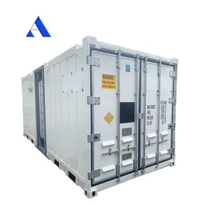 高品质DNV2.7-1 & EN12079标准8英尺8英尺离岸冷藏集装箱出售