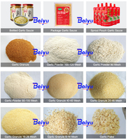 Baiyu Ui-, Knoflook- en Fruitverwerkingsmachine Poeder Sorteer- en Productielijn met Pomp, Motor & Lager Kerncomponenten