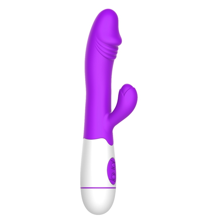 Viola