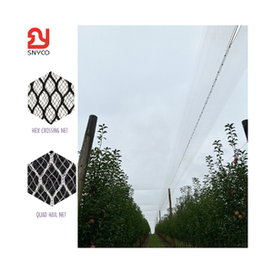 Red de Pesca de HDPE Resistente a la Luz Solar de 60 g/m², Fabricada en Vietnam por la Marca S.N.Y VINA, Duradera y Personalizable - Product Image 6