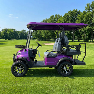 Carrito de Golf Eléctrico de Alta Calidad con Diseño <span class=keywords><strong>para</strong></span> Todo Clima, Funcionamiento Silencioso, Neumáticos Todoterreno de Color Morado Claro, <span class=keywords><strong>para</strong></span> Campos de Golf y Complejos Turísticos - Product Image 3