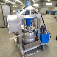 VBJX Commerciële Industriële Zware Kwaliteit RVS Grote Capaciteit Appel Ananas Koudpers Sapcentrifuge Persmachine