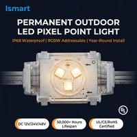 Luces LED de Puntos de Píxeles Ismart, DC48V, Luces de Medusa Ws2811 Ucs2904, Luces Navideñas Permanentes para Exteriores, Impermeables para Aleros