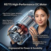 Motor de CC de 12 V 24 V 775 RS775 RS-770 de Alta Velocidad con Rodamientos de Bolas, Motor Eléctrico de Imán Permanente para Herramientas Eléctricas, Bricolaje y Máquinas CNC