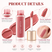 Rouge à lèvres liquide mat velours RTS 5g, 12 teintes, longue tenue, résistant au transfert, faible MOQ 3 pièces, vente en gros, logo personnalisé