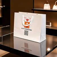 Emballage Aseptique Écologique Premium Éco-Responsable - Sacs de Shopping de Luxe sur Mesure et Boîtes Cadeaux en Papier en Gros