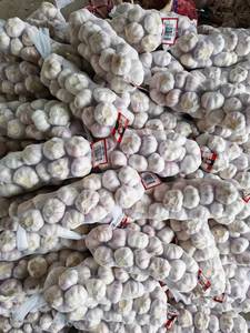 Aglio Fresco di Alta Qualità dalla Cina, Aglio Bianco Puro/Normale, Prezzo all'Ingrosso, Esportatore di Fabbrica - Product Image 4