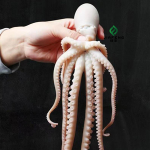 <span class=keywords><strong>Pulpo</strong></span> Congelado al por Mayor a <span class=keywords><strong>Precio</strong></span> Competitivo - Product Image 3