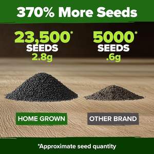 Paquete a granel de rosa musgo 23.500 cultivada en casa Portulaca Grandiflora sin OGM Cubierta de suelo de flores anual de bajo mantenimiento para exteriores - Product Image 3