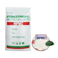 Hydroxypropylméthylcellulose HPMC, Matières Premières Chimiques, Épaississant, Poudre HPMC, Éther de Cellulose pour Adhésif Carrelage, HPMC 200 000 CPS