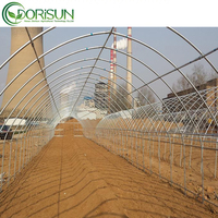 Serre en plastique économique de 30 x 10 m à vendre, taille personnalisée, serre agricole