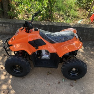 Los 100 Mejores Fabricantes de Cuatrimotos del 2025, <span class=keywords><strong>Cuatrimoto</strong></span> Infantil de 110cc Naranja Todoterreno, <span class=keywords><strong>Cuatrimoto</strong></span> Utilitaria con Luces - Product Image 5