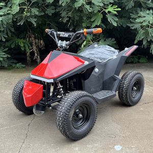 รถเอทีวีบักกี้แบบออฟโรดสำหรับทุกพื้นที่  รับผลิตตามแบบ OEM ODM สำหรับสวนสนุก กิจกรรมกลางแจ้ง ผจญภัย  พร้อมโลโก้สั่งทำพิเศษ - Product Image 2