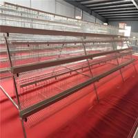 Vente Flash : Cage à Poules Pondeuses Type A à 4 Niveaux pour 160 Oiseaux, Équipement d'Élevage Avicole avec Système d'Alimentation Automatique