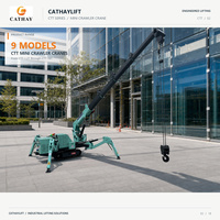Guindaste Aranha sobre Esteiras a Diesel/Gasolina com Lança Telescópica, Jib Auxiliar e Giro de 360 Graus, Altura de Elevação de 10m