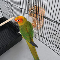 Station d'alimentation en acrylique pour Macaw African Greys Budgies Cockatiels Conure Inséparable
