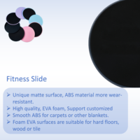 Logo personnalisé Entraînement de gymnastique Noyau de fitness Sliding Workout Yoga Pilates Exercise Sliders Gliding Discs