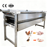 Machine à éplucher la volaille horizontale, entièrement en SUS304, éplucheuse automatique pour oies et dindes, certifiée CE, ligne de transformation d'abattage