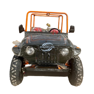 Robust Willys Style Transport Buggy, 250cc 4-Stroke Off-Road Vehicle for Cargo Delivery in Nature Reserves - Product Image 4