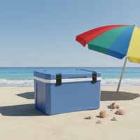 Boîte isotherme EPP avec panneau solaire et motif léopard, conteneur de stockage en mousse thermique de qualité alimentaire pour la conservation au chaud et au froid