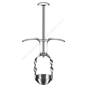 En gros Syh220 Outil de dénoyautage pour cerises et olives, en acier inoxydable, outil pour retirer les noyaux et les graines, outil pour légumes - Product Image 1