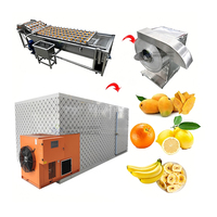 Meest verkochte machines voor de verwerking van fruit & groenten: uien-, tomaten-, banaan-, citroen- en mango-droogmachines