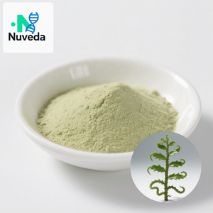 Pure Natural <span class=keywords><strong>Huperzia</strong></span> <span class=keywords><strong>Serrata</strong></span> 1% 98% CAS 102518-79-6 Huperzine a Polvo - Product Image 1