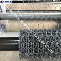 Machine à Mailles Hexagonales en Fil Torsadé Droit et Inversé pour Cages à Volailles